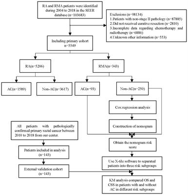 Risk stratification of stage II rectal mucinous adenocarcinoma to predict the benefit of adjuvant chemotherapy following neoadjuvant chemoradiation and surgery